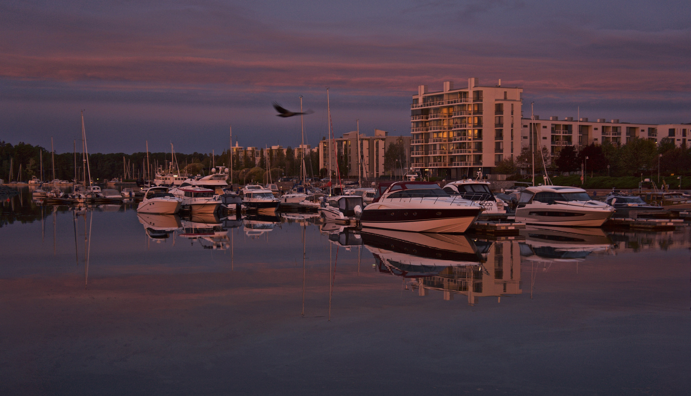 В отсвете утренней зари