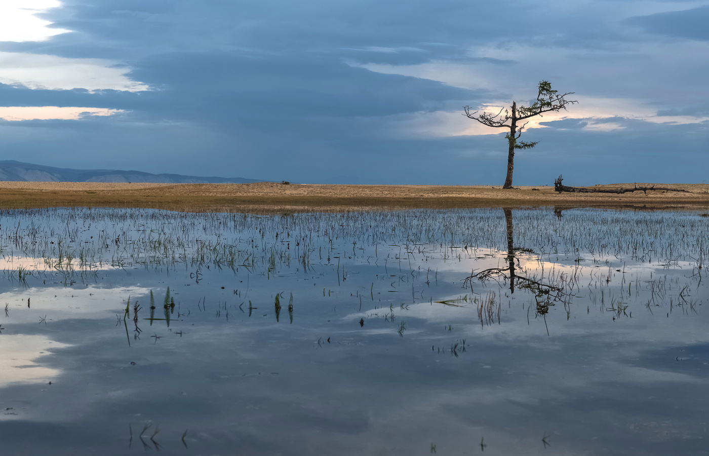 Одиночество
