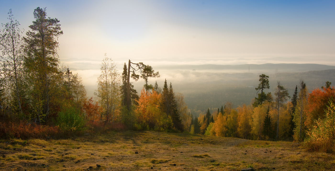 Утро раннее. Туман
