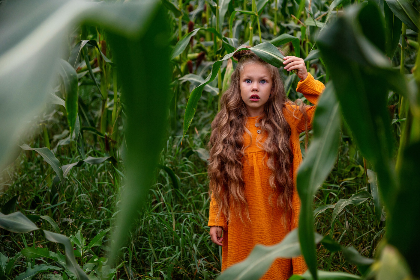 Удивительные дела