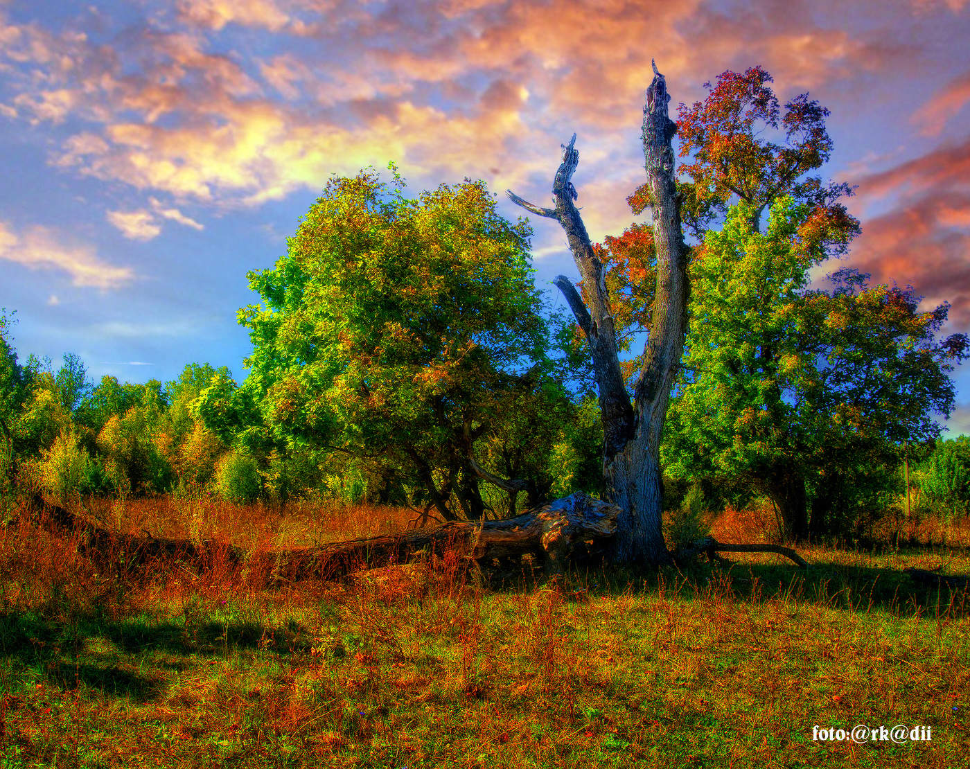 Краски осени.