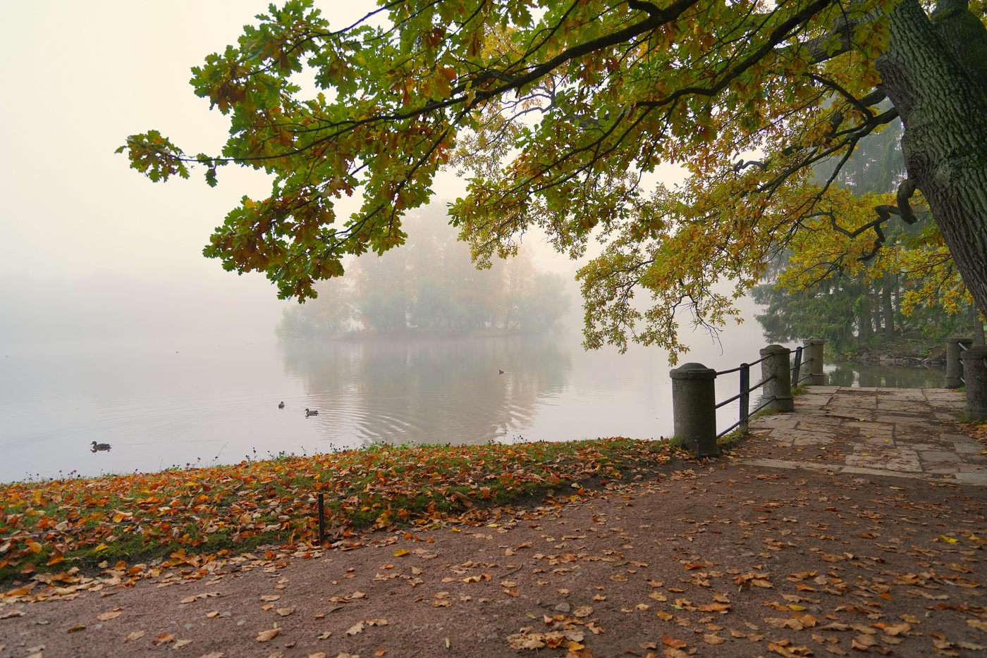 Утро в октябре