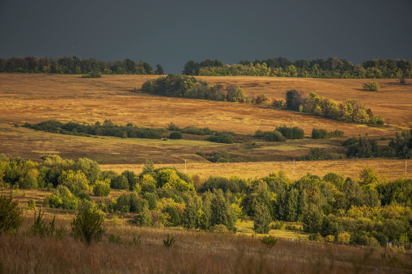 После грозы