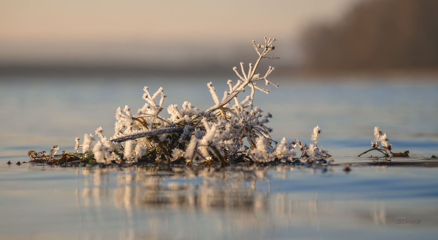 Осенние заморозки.
