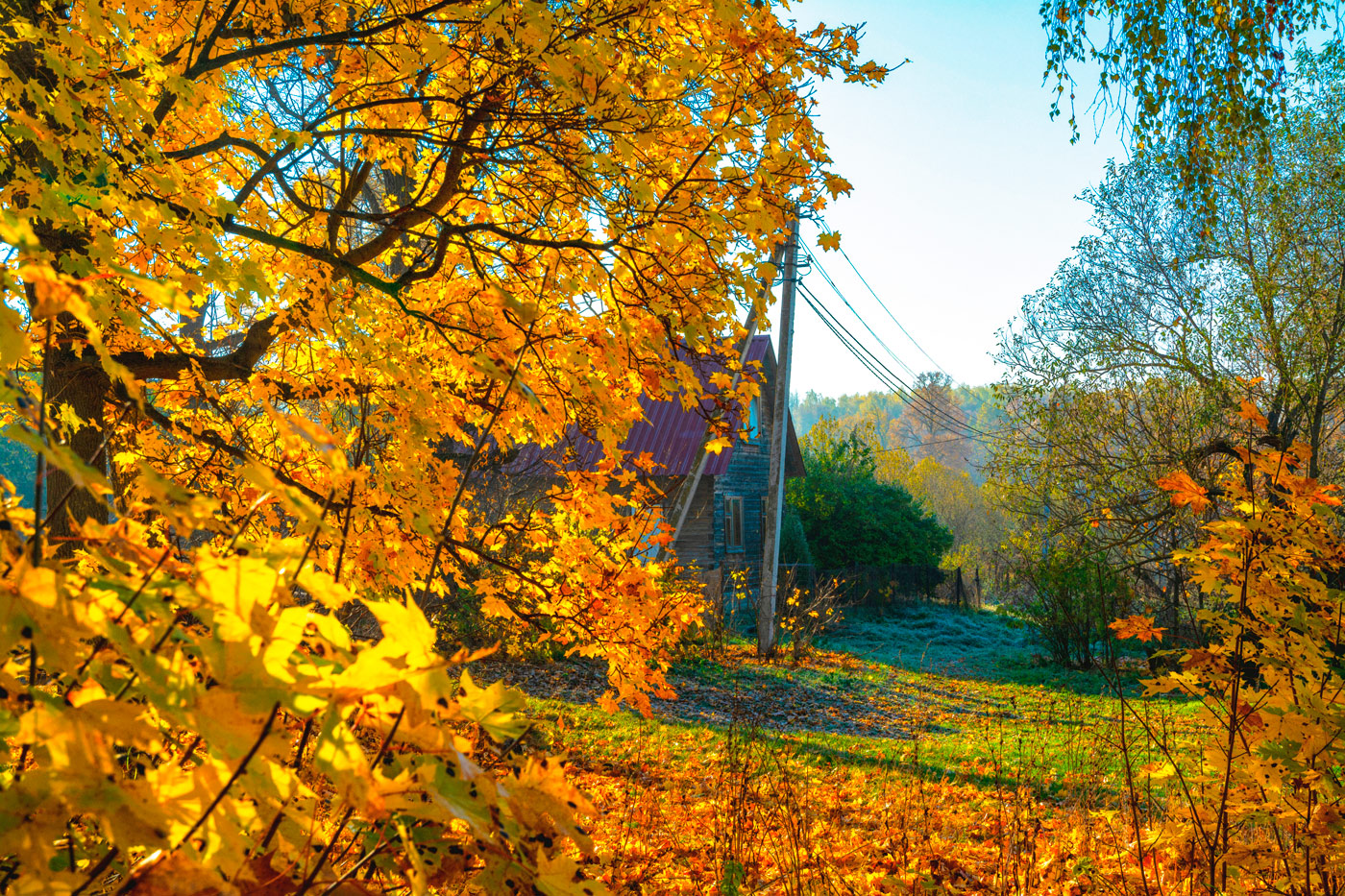осенние зарисовки