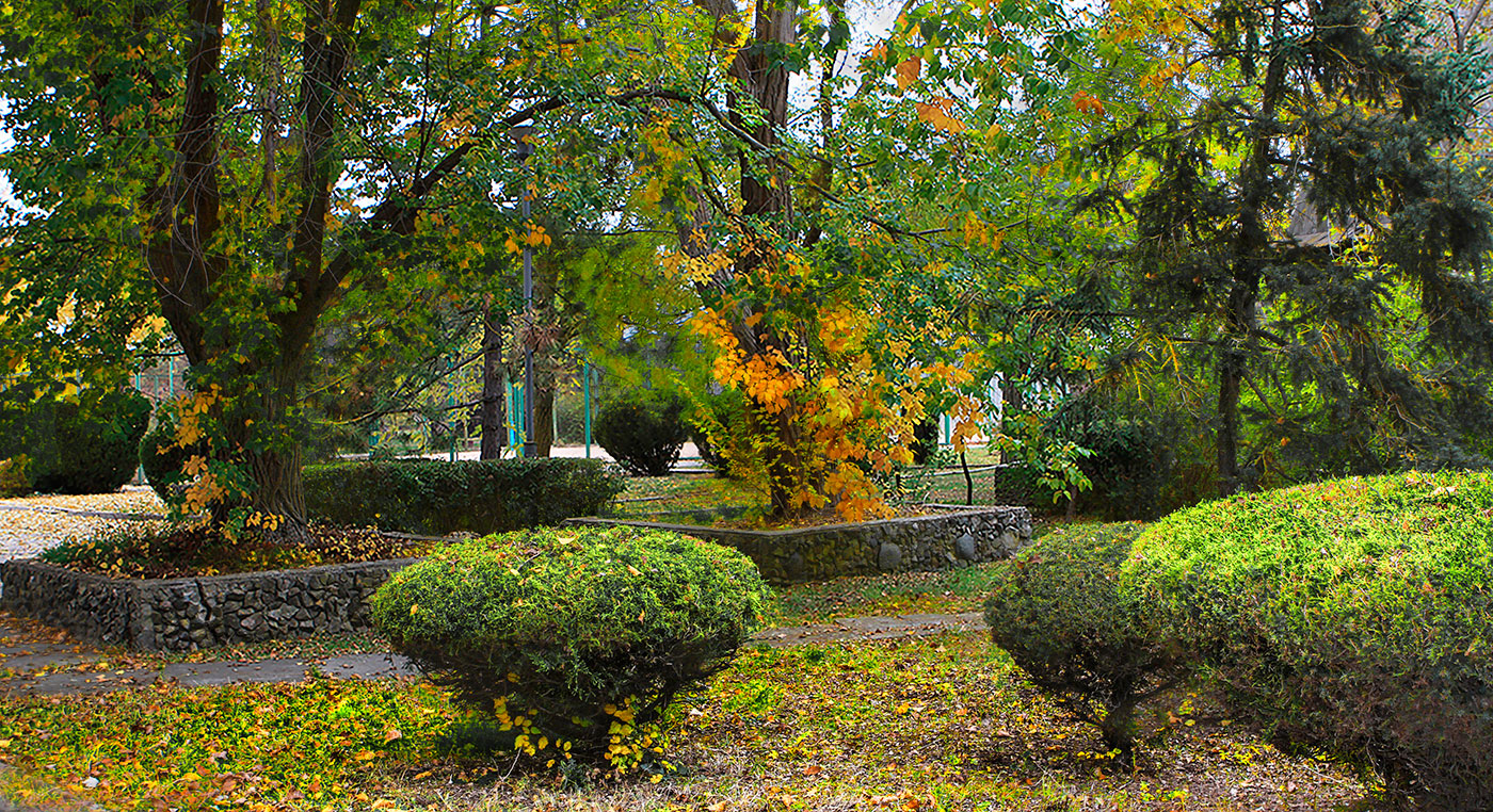 Парковые приколы.