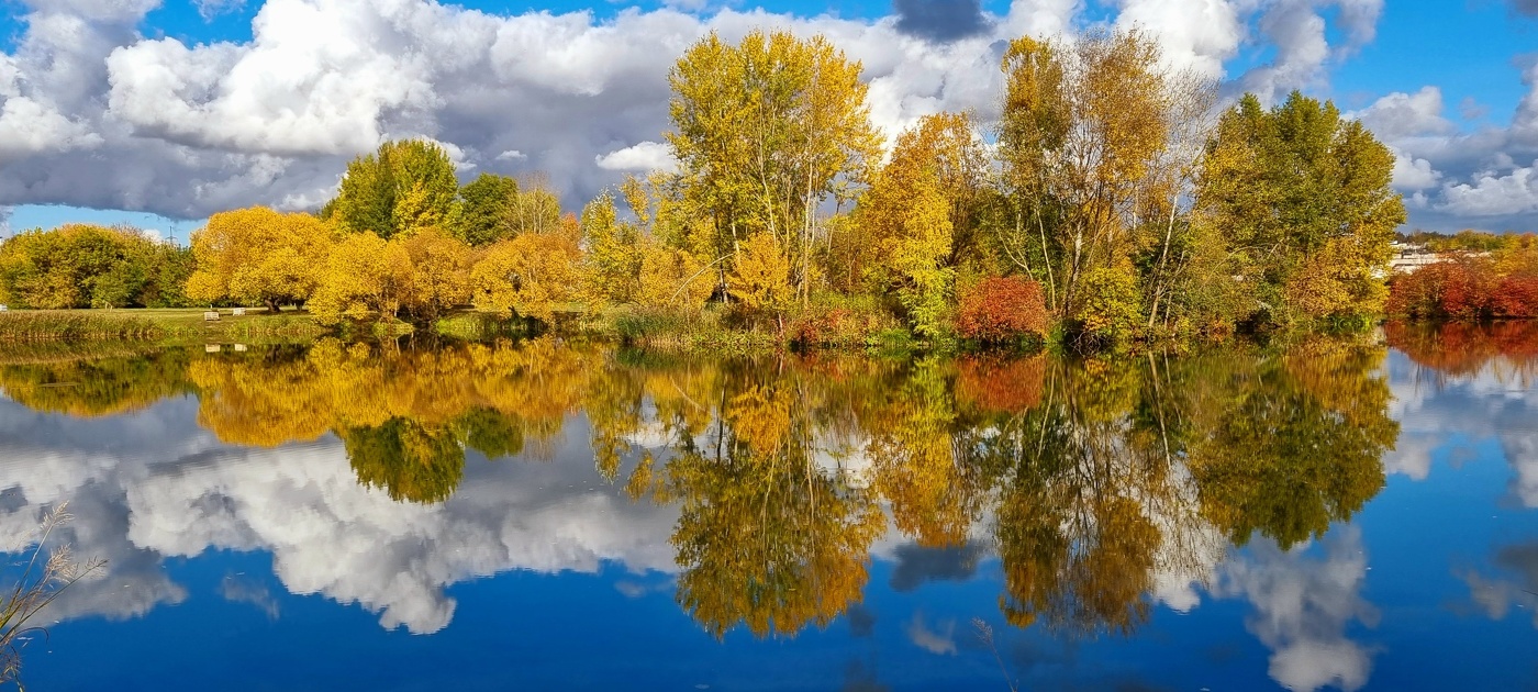 Палитра осени...