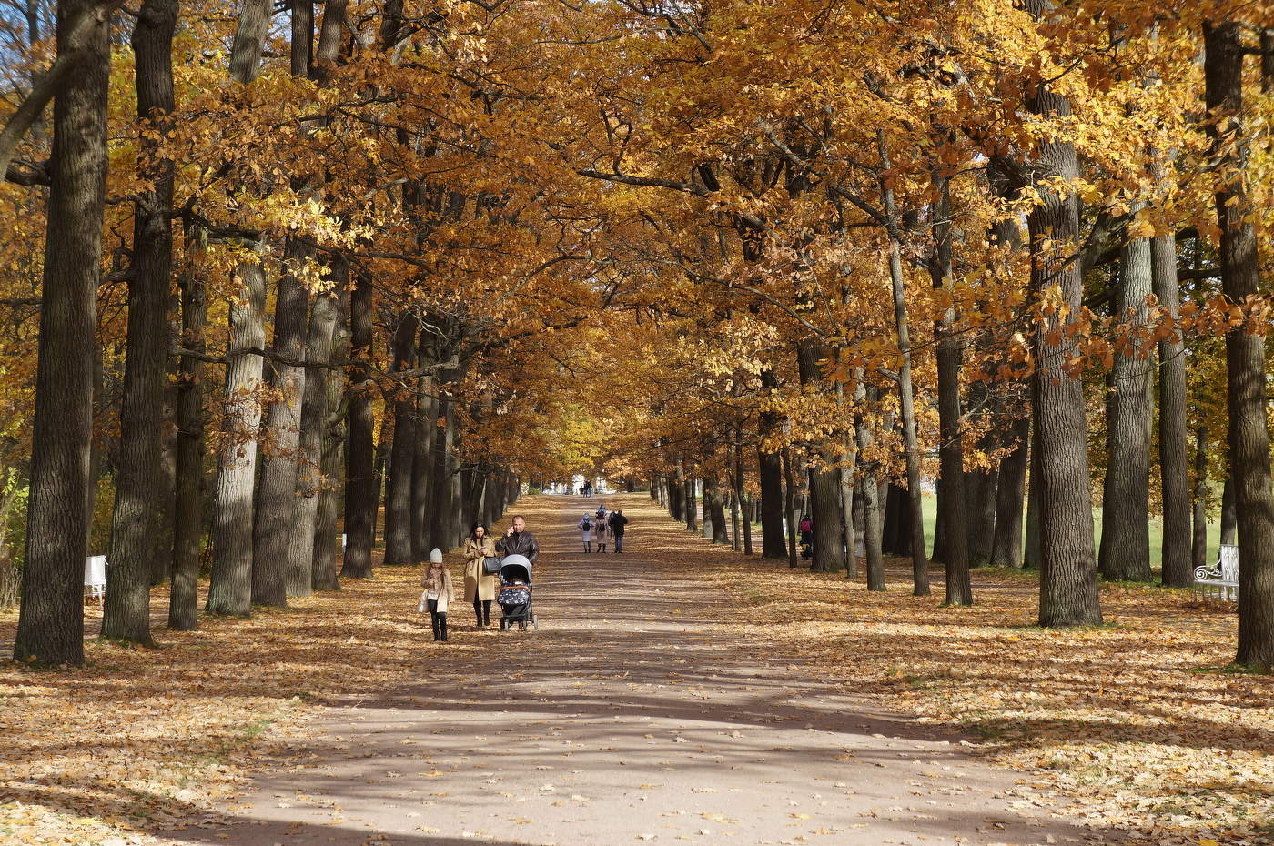Выпал солнечный денек