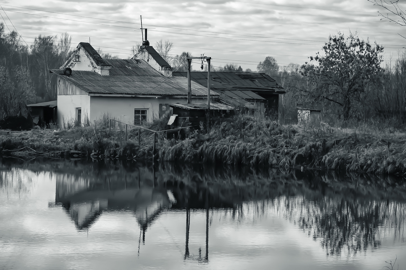 я куплю тебе дом