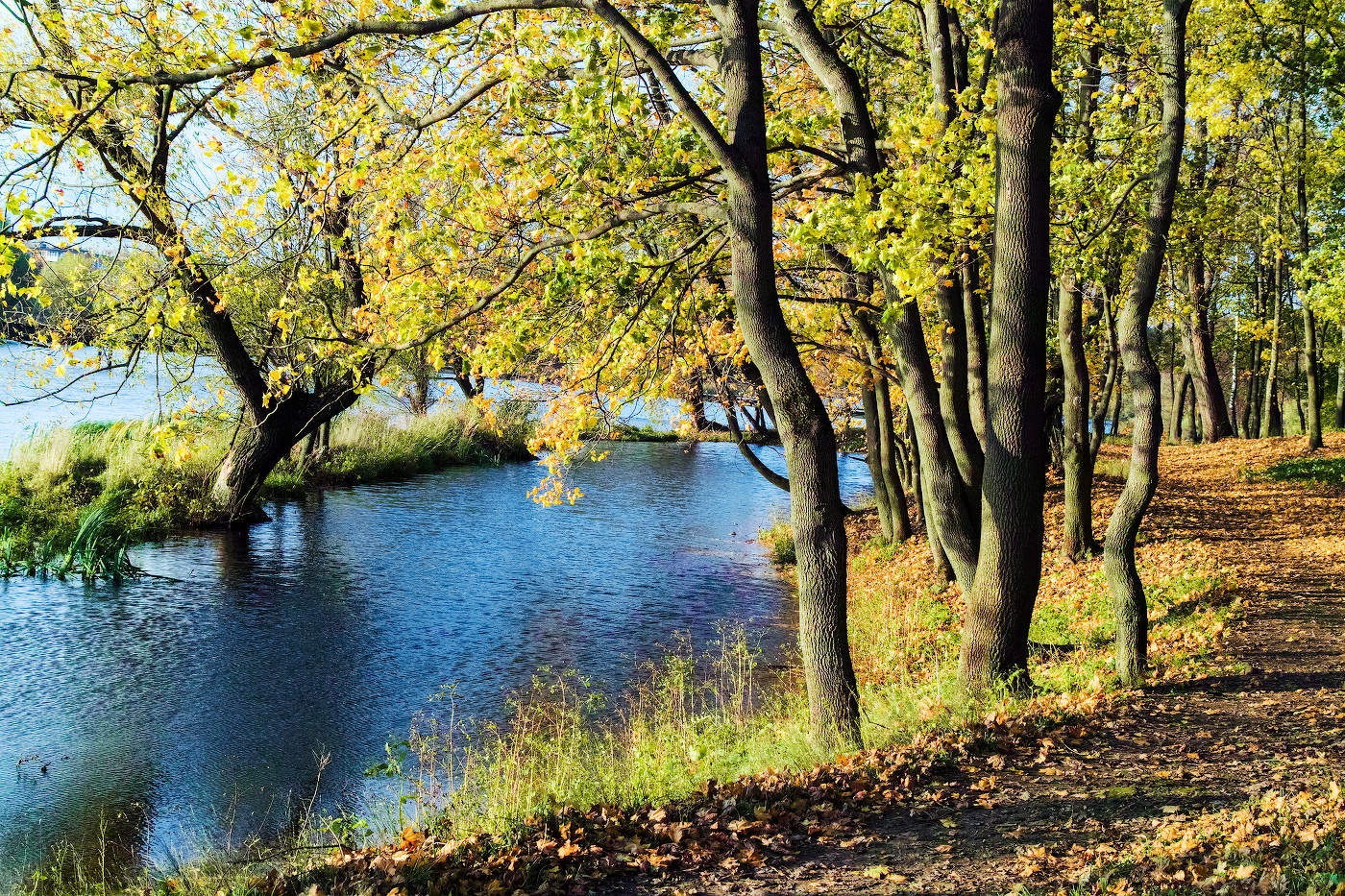 Тропинками осени