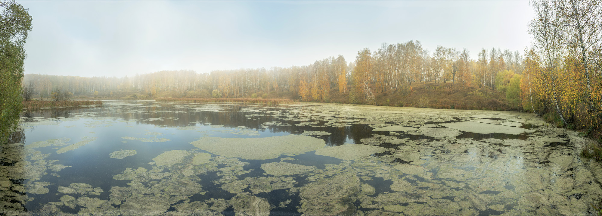 Осенняя панорама.