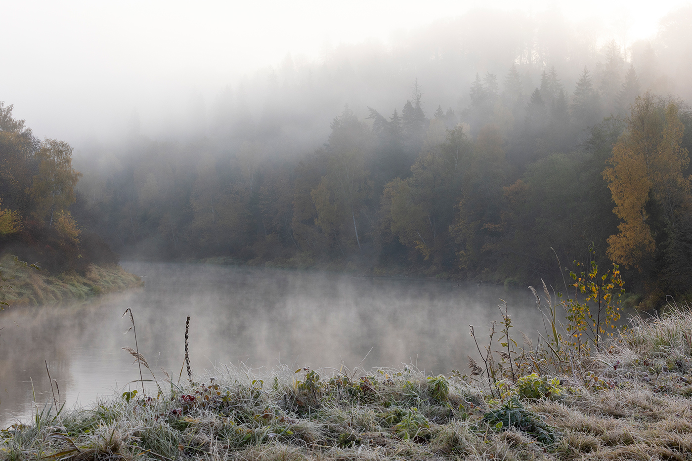 Первые заморозки