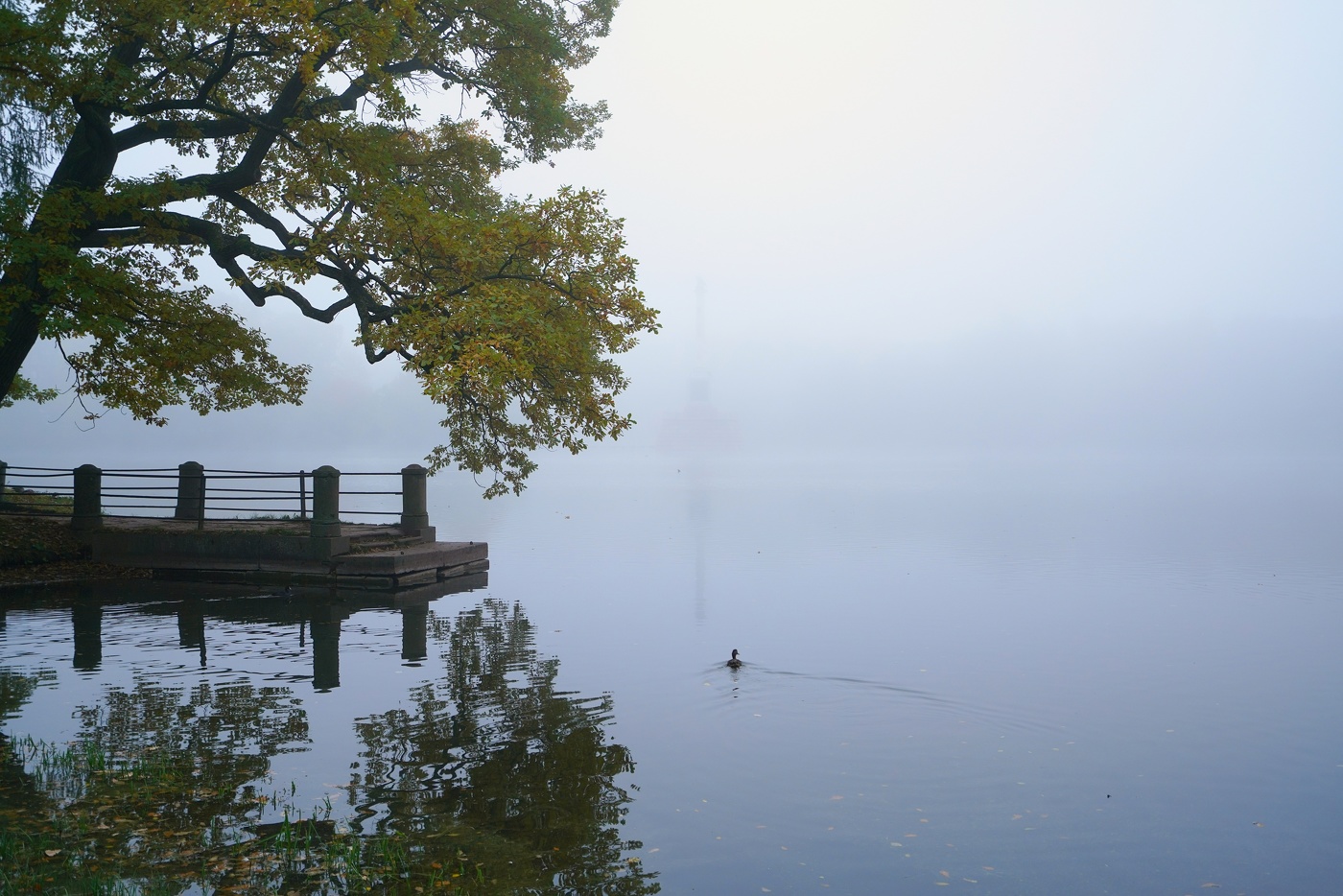 Осеннее утро