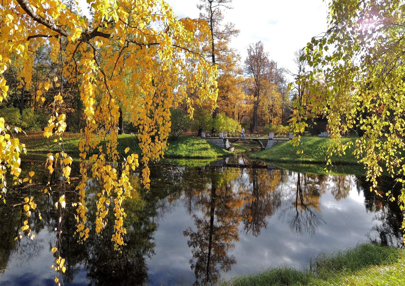 яркая Осень