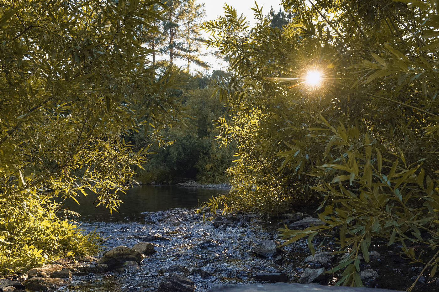 оптимистичное