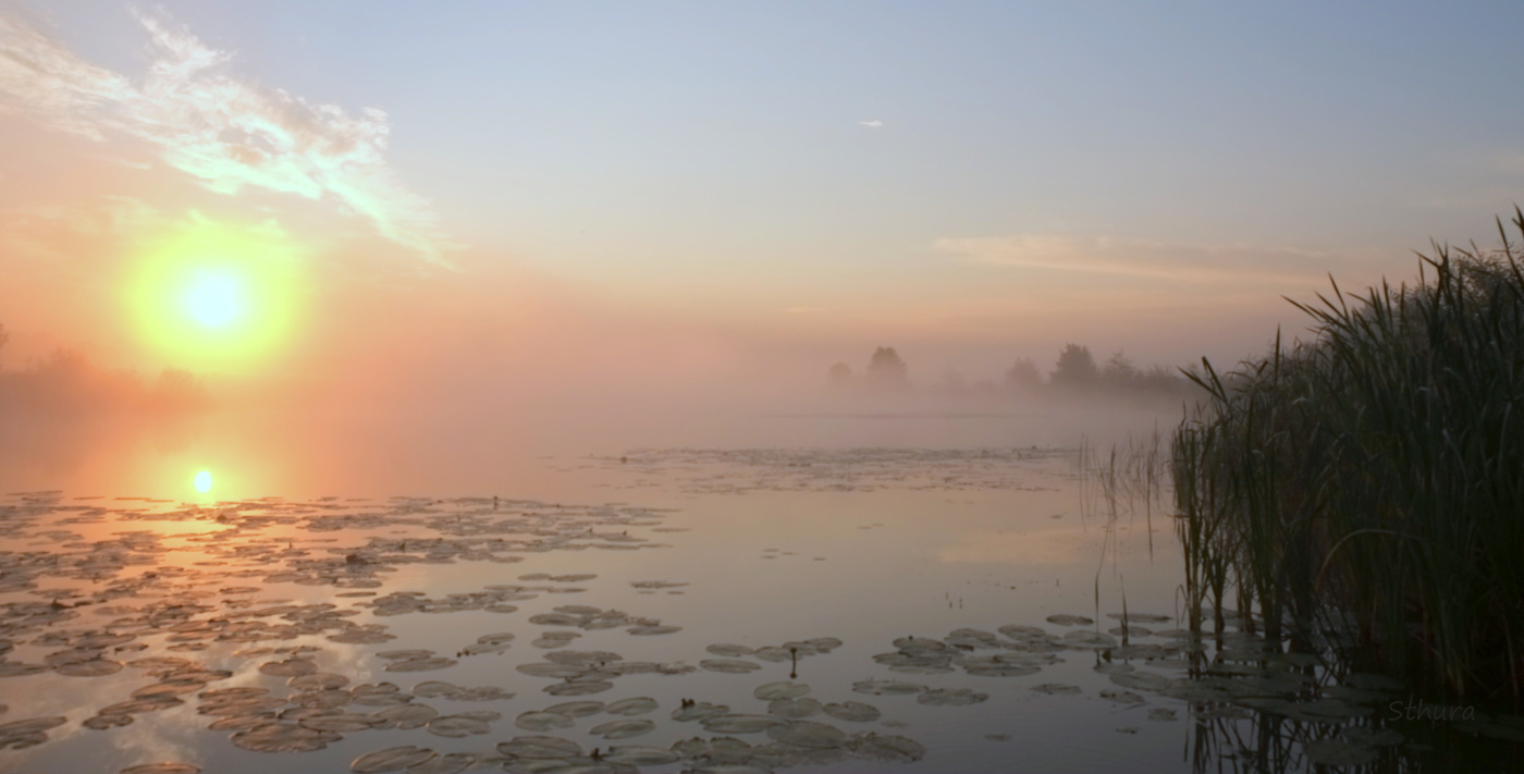 Рассвет, лето.