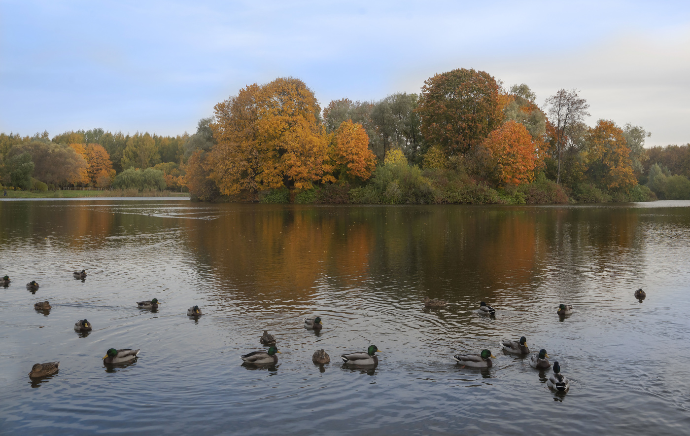 Осень в парке
