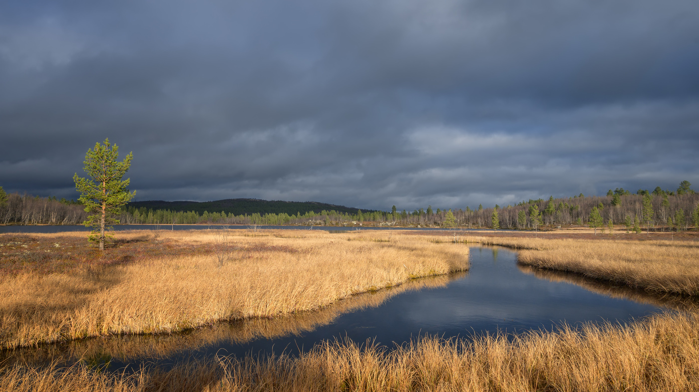 Улыбка октября