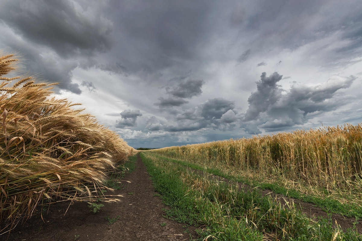 В конце июня