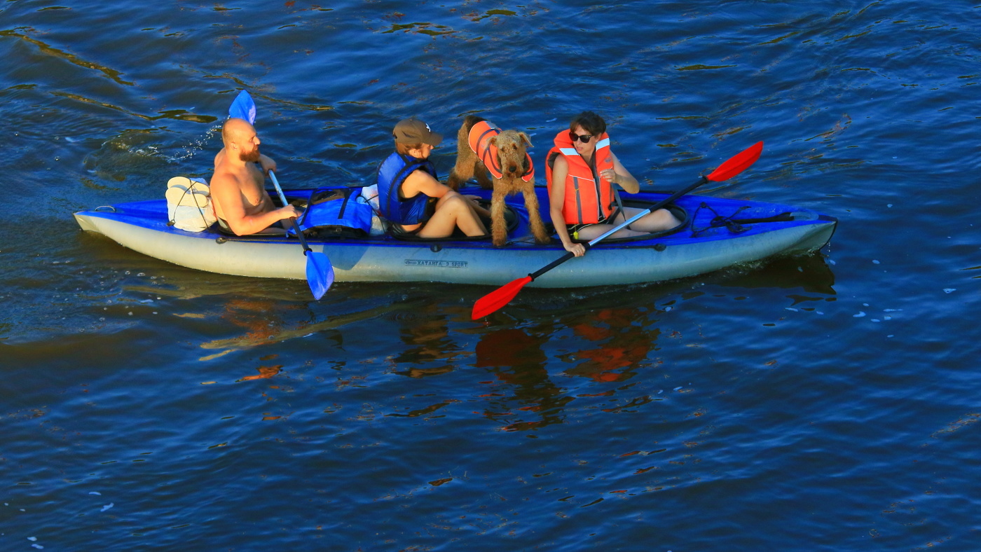 Трое в лодке, не считая собаки !!!