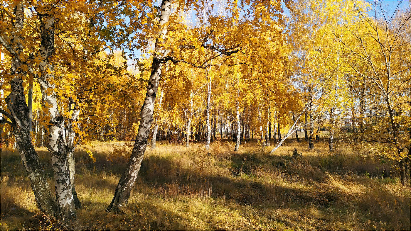 Осени период золотой