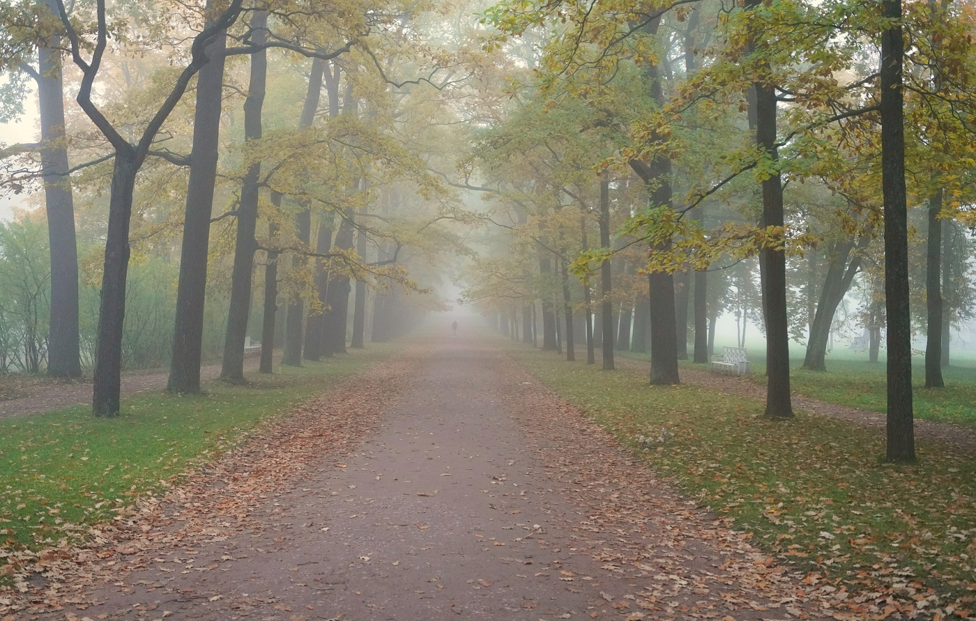 Осенний марафон