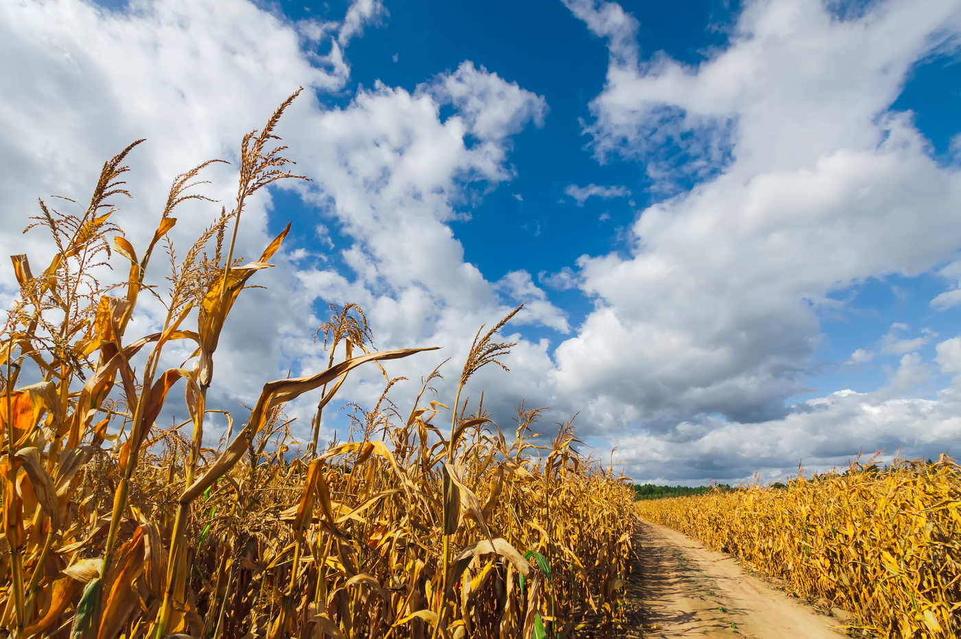 Вот и лето прошло ...