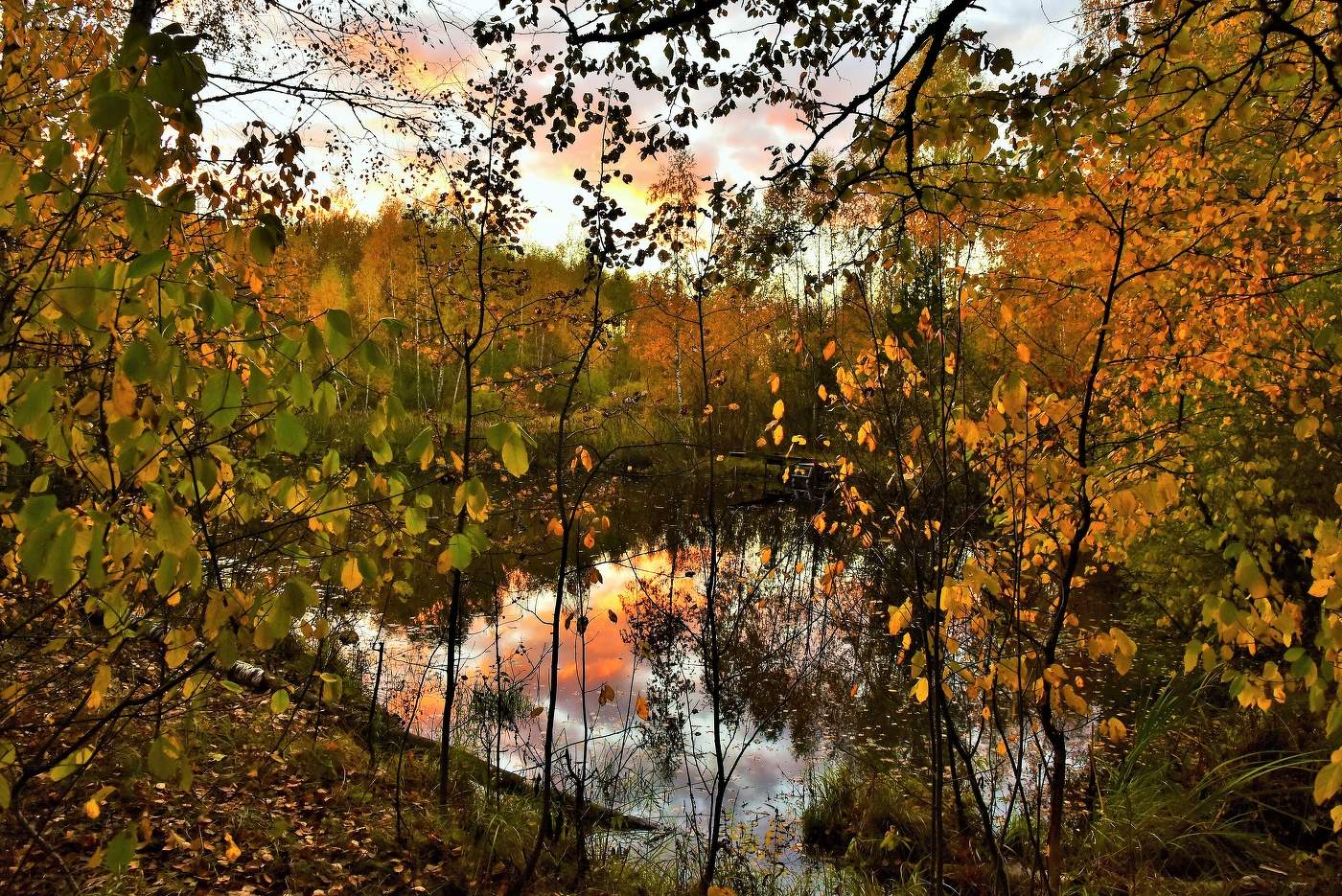 "В осенний вечер дышит лес невыразимою печалью..."