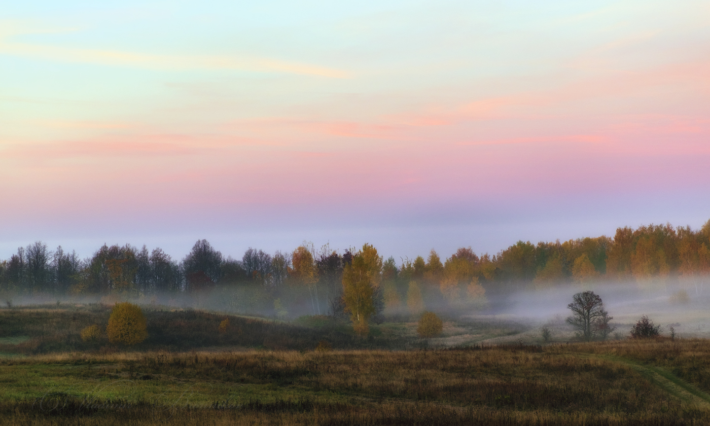 "Меж берёз и сосен тихо бродит осень"
