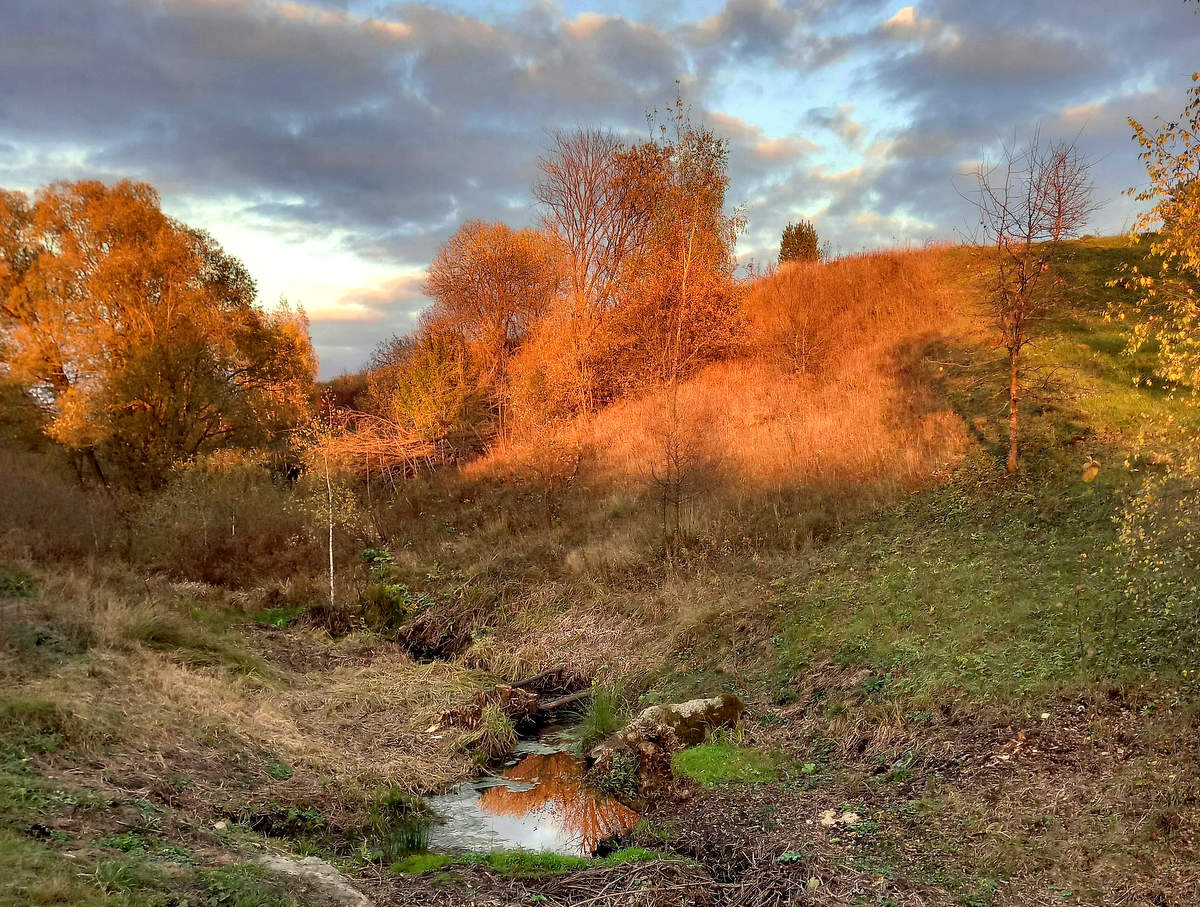 Осенний закат возле ручья