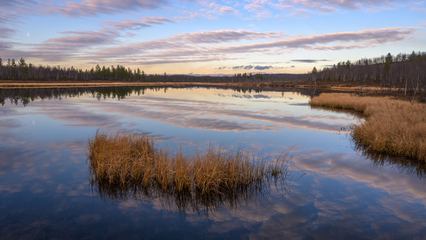 Лесное зеркало
