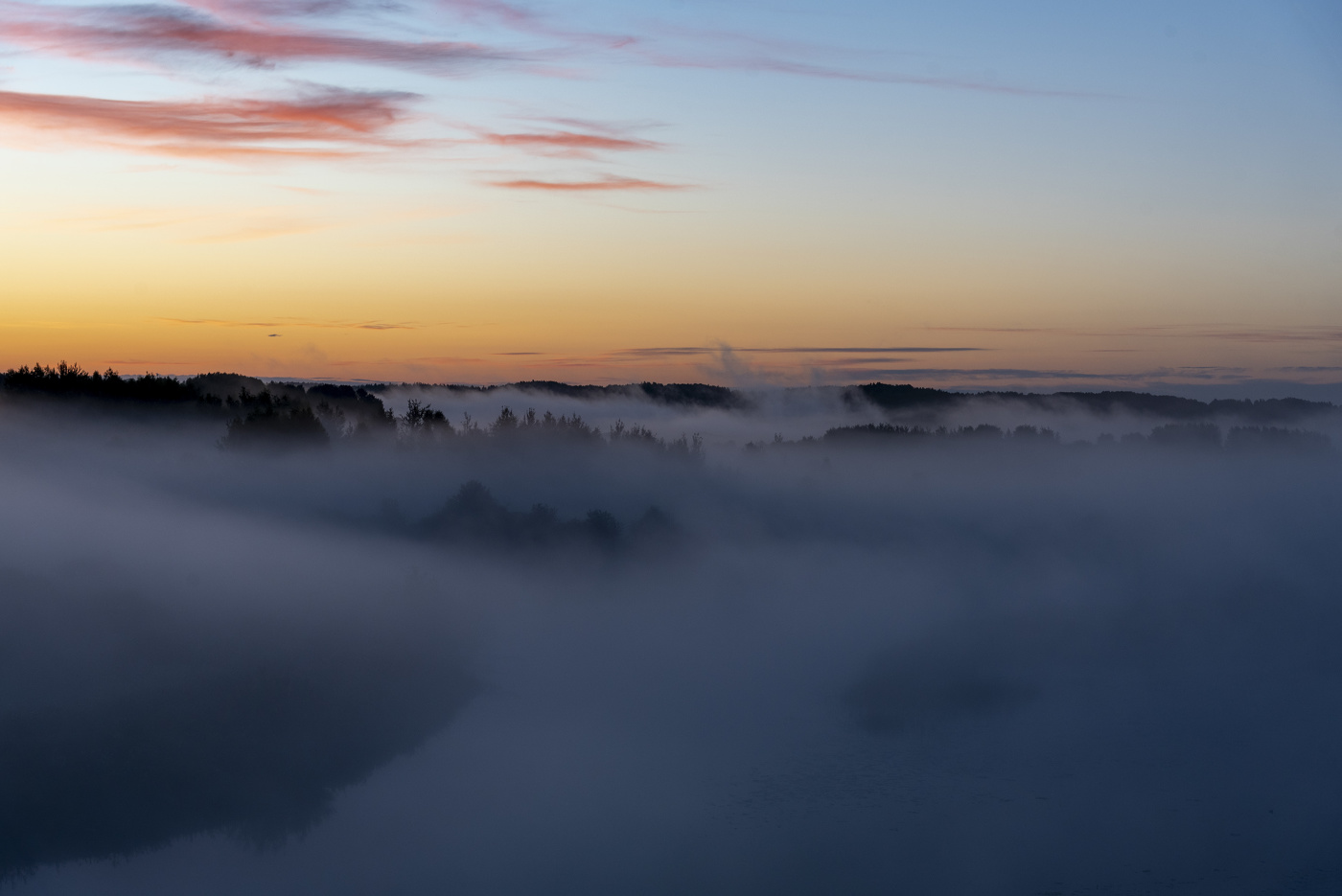 Молочный рассвет