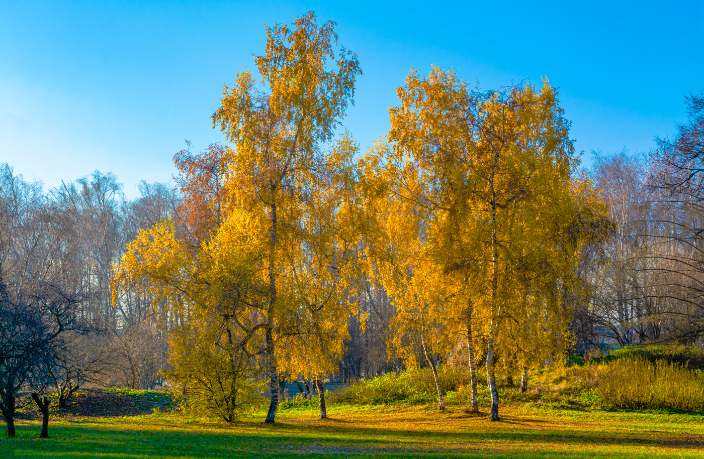 осенние зарисовки