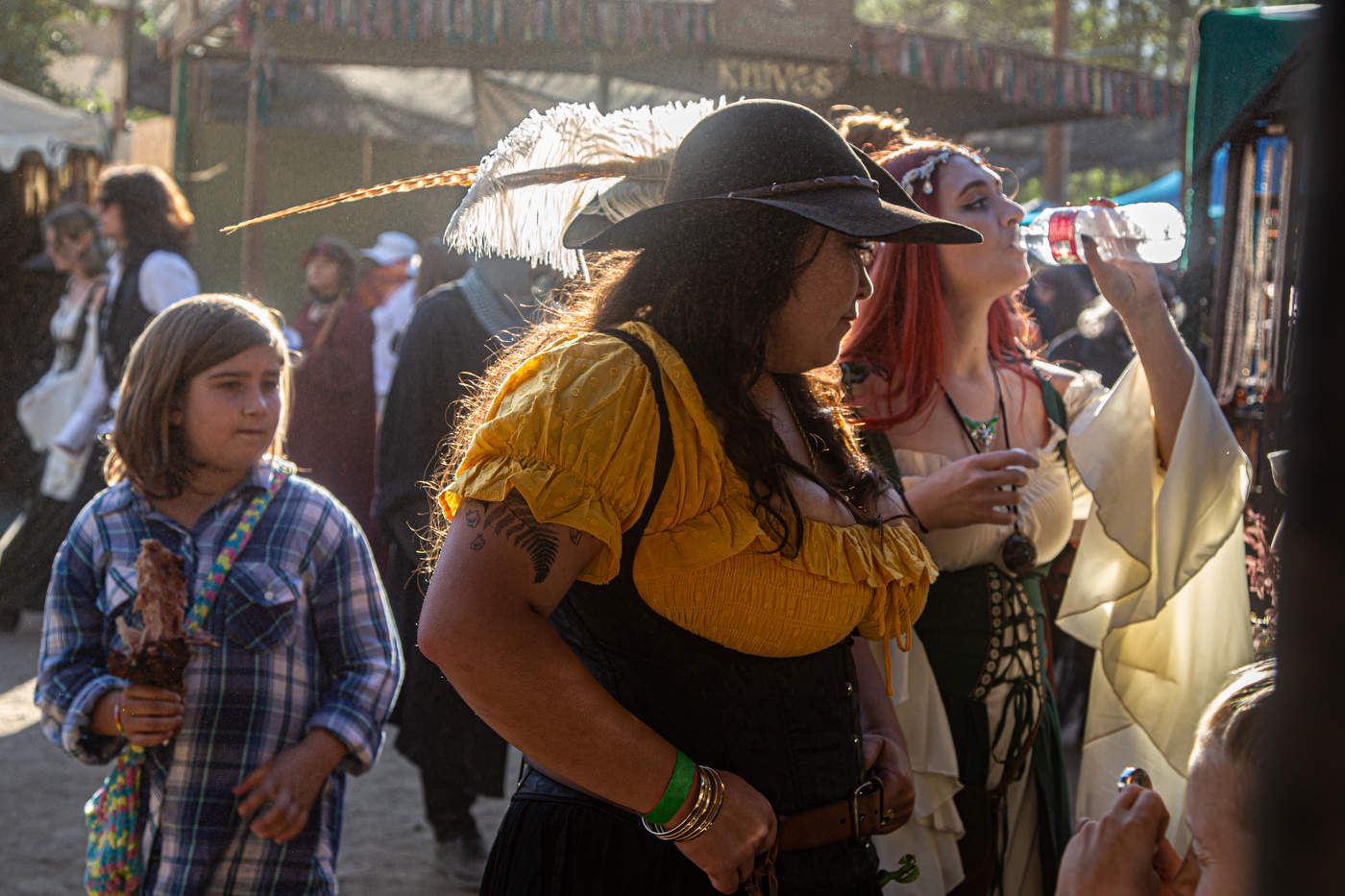 Фестиваль "Ренессанс" в Калифорнии