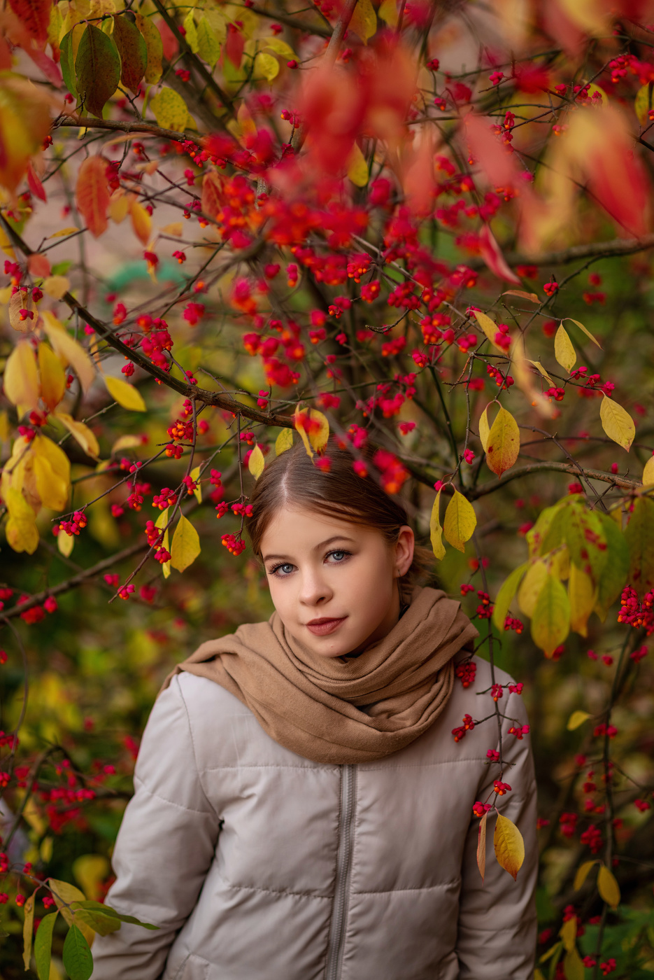 Коричневый шарф