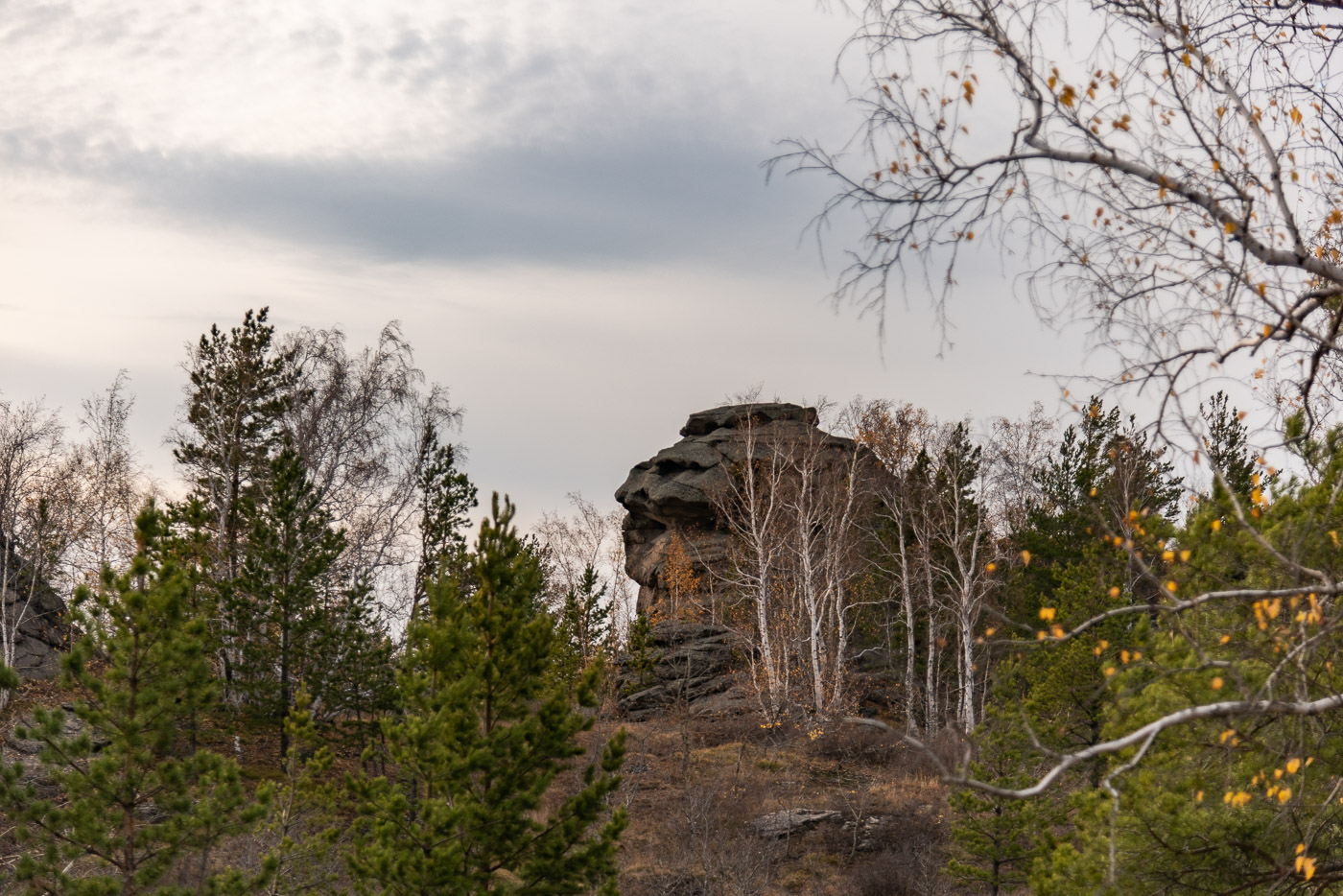 Каменная голова