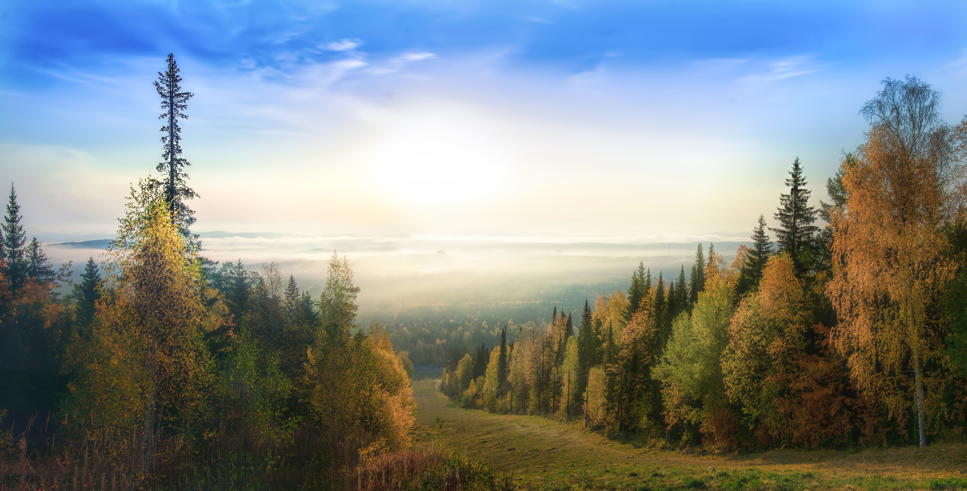 Сквозь туман