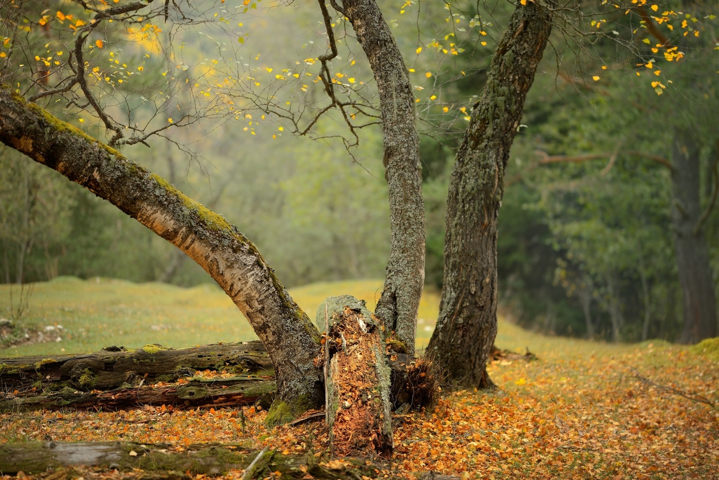 Осень на Кавказе