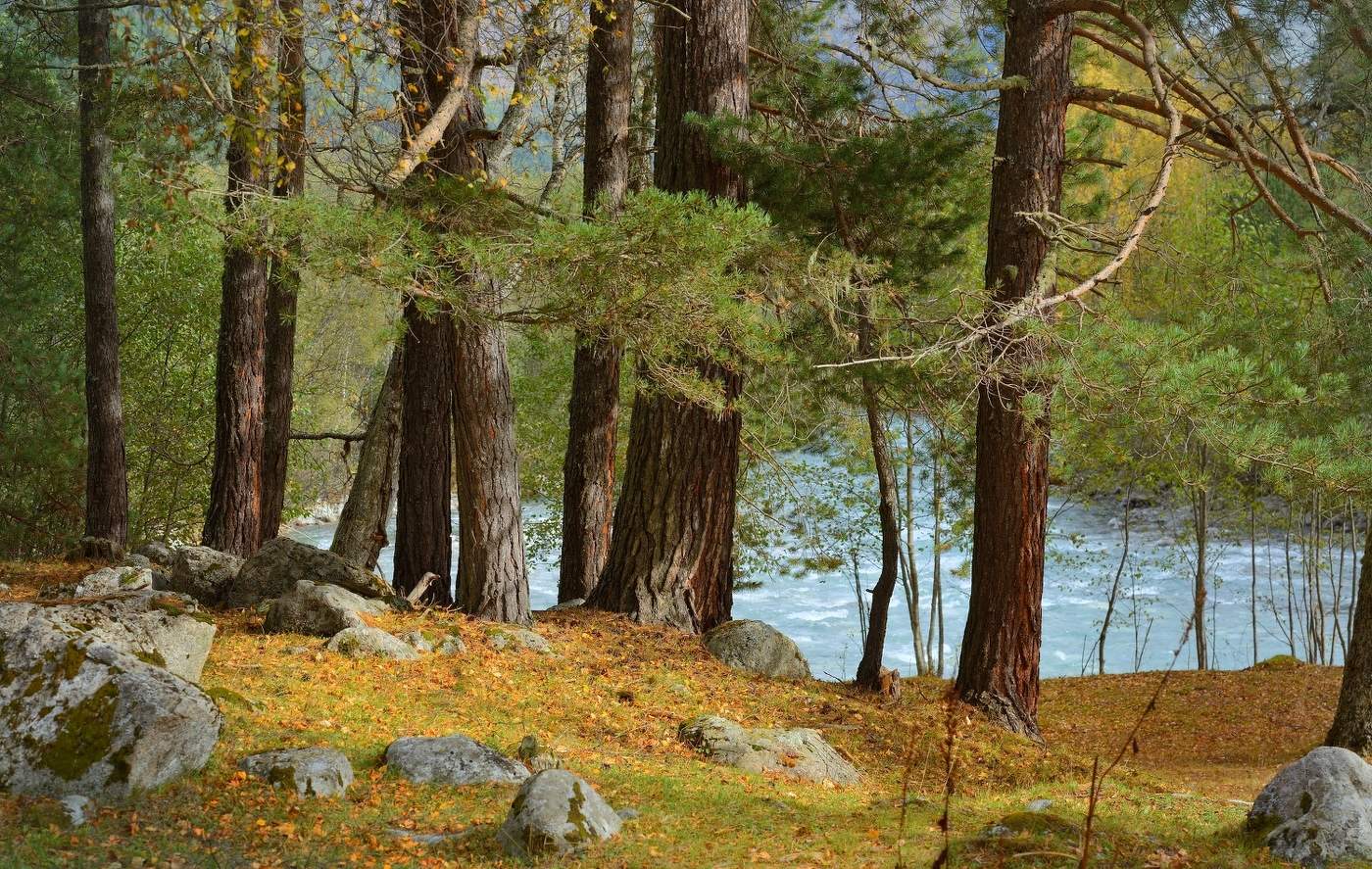 Осень на Кавказе