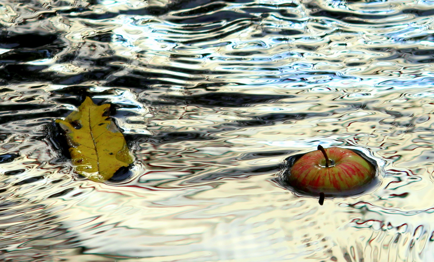 Осенний этюд!