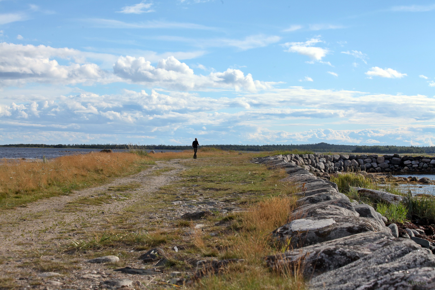 Я ненавижу человечество, Я от него бегу спеша...