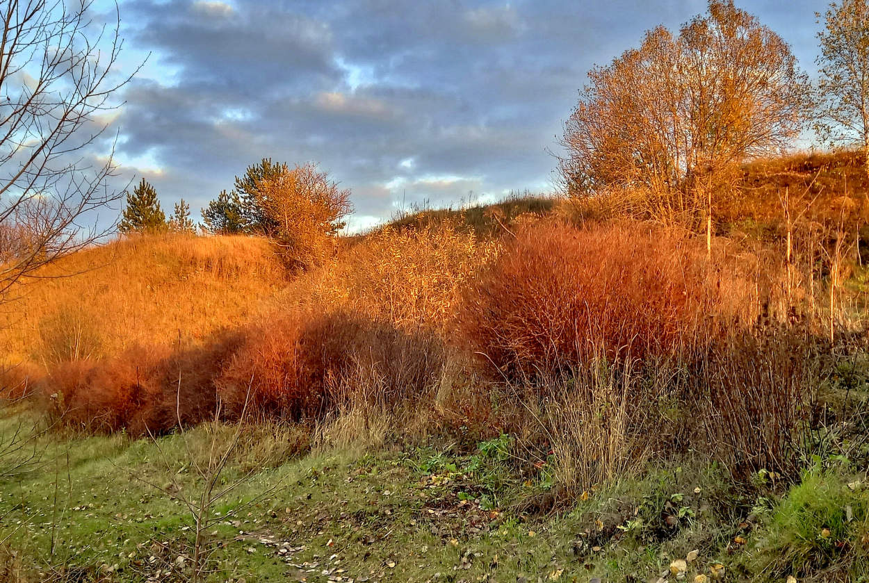 Осень под лучами заходящего солнца