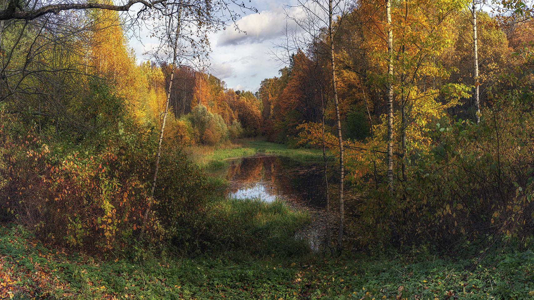 Лесное озеро...