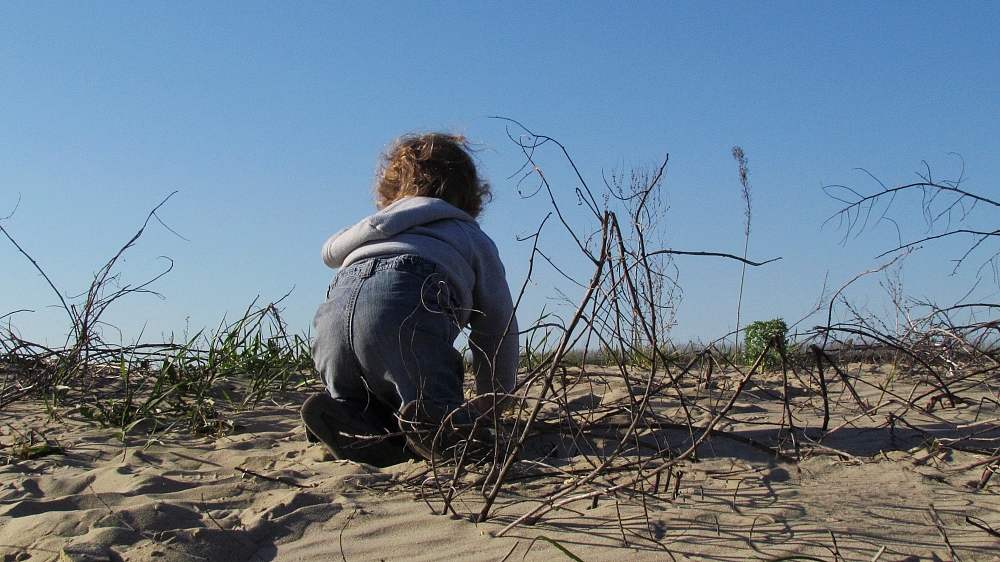 там, за горизонтом