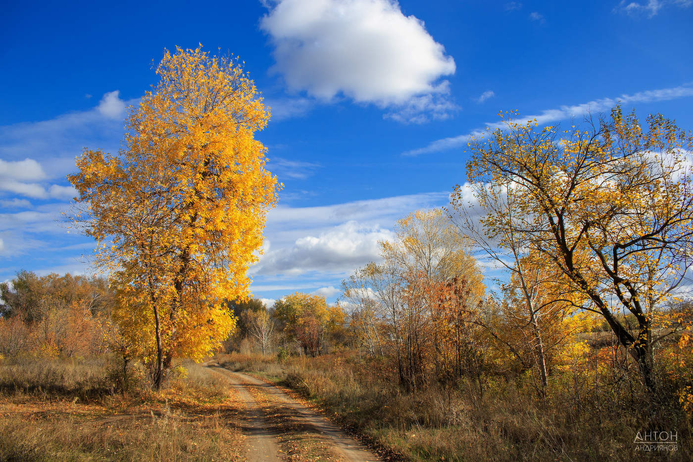 В осеннем парке городском