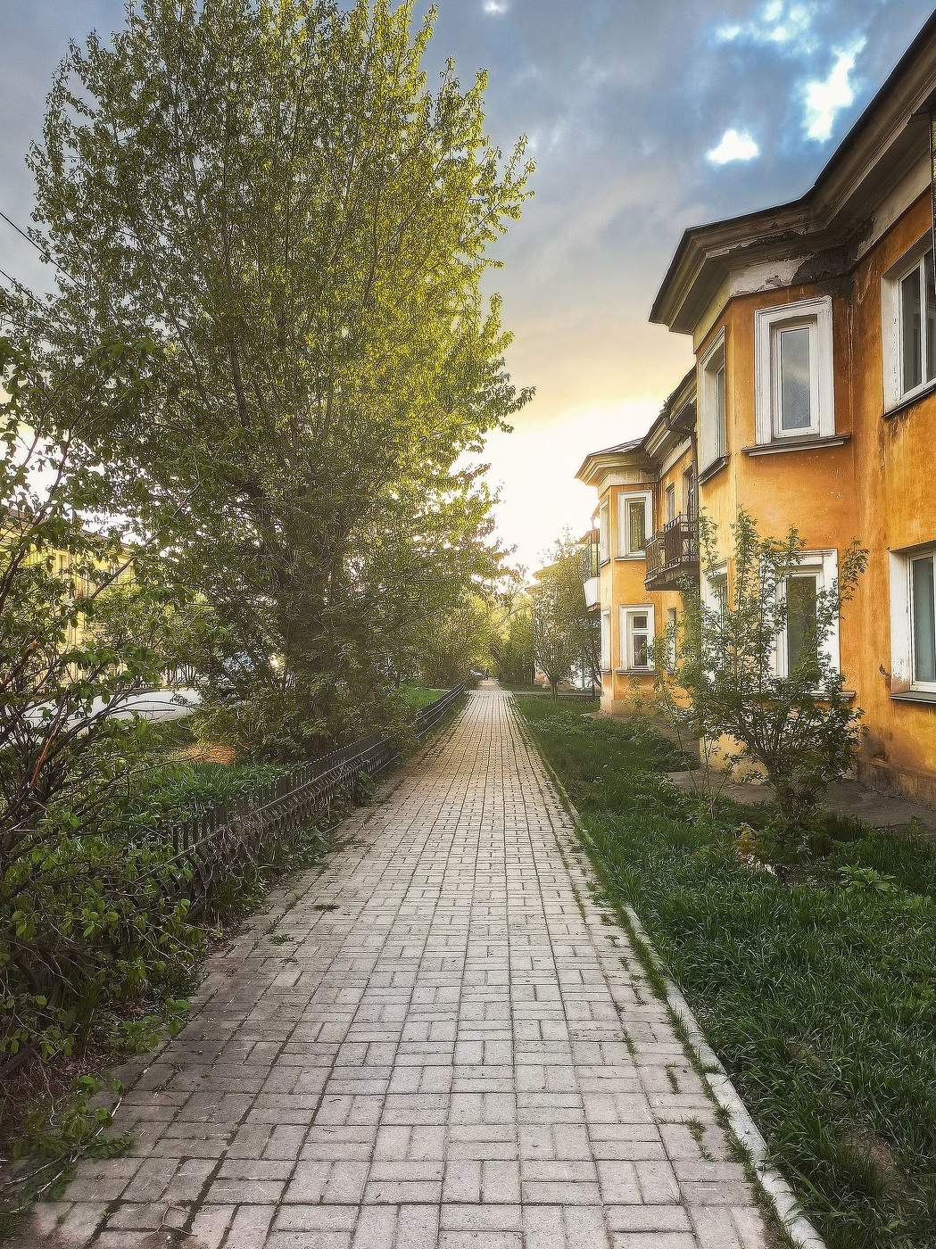 Летней тропинкой