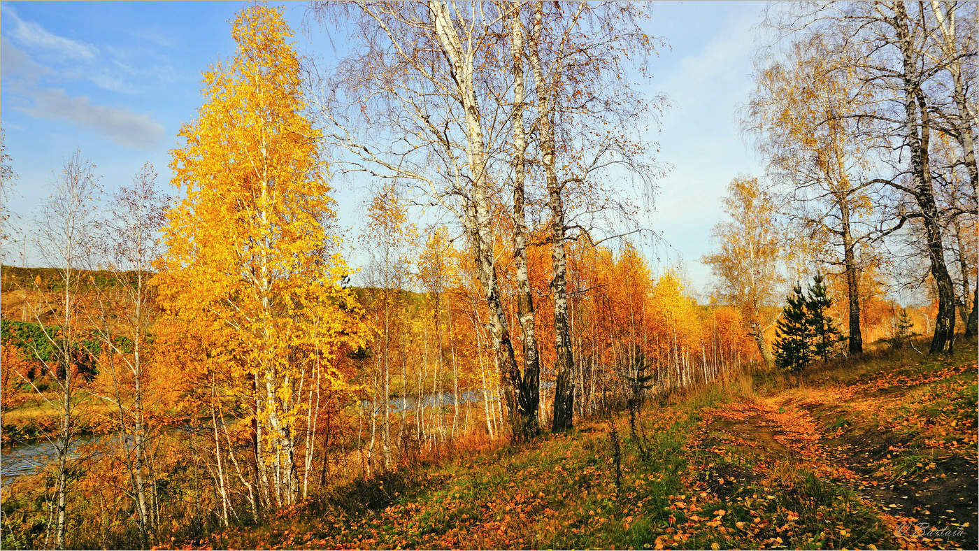 Люблю я осени златую пору