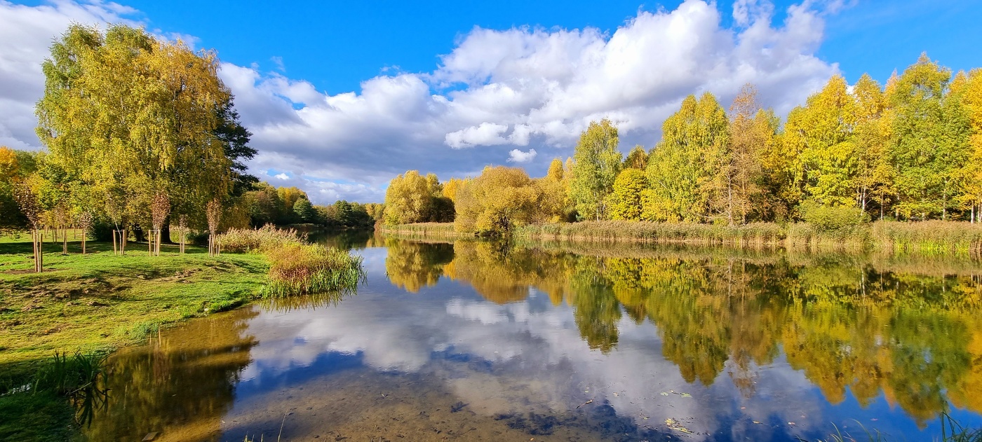 Осенний полдень...