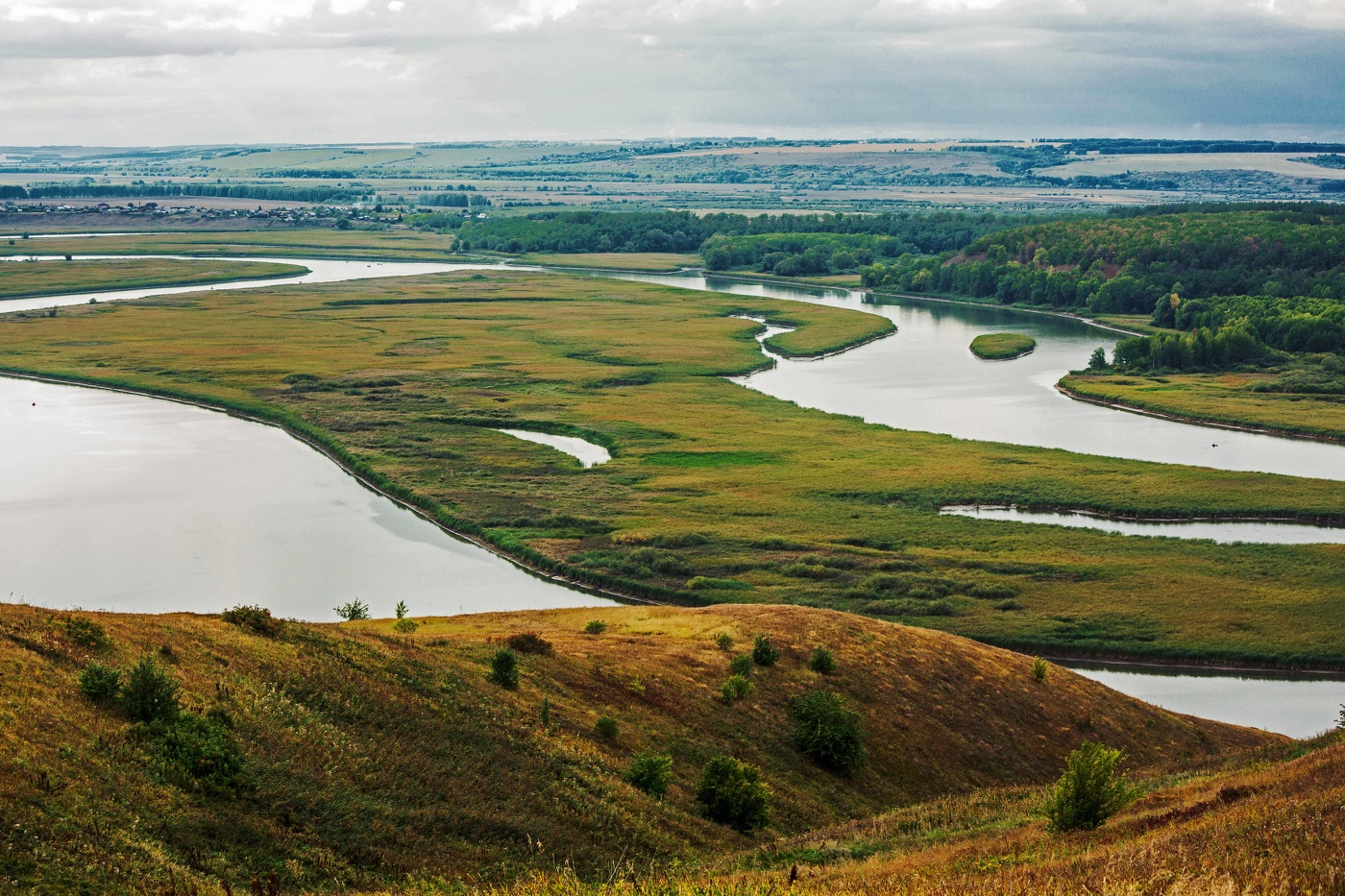 дельта р.Свияга