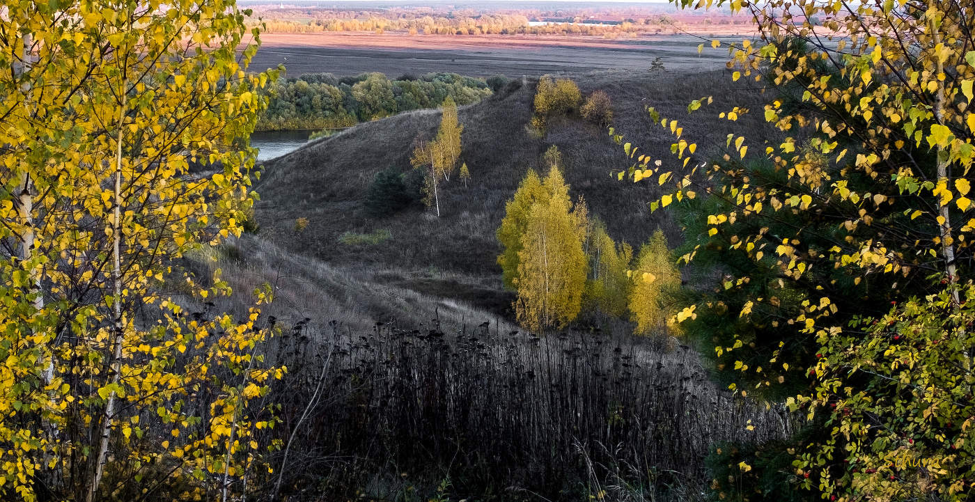 Осенний пейзаж.